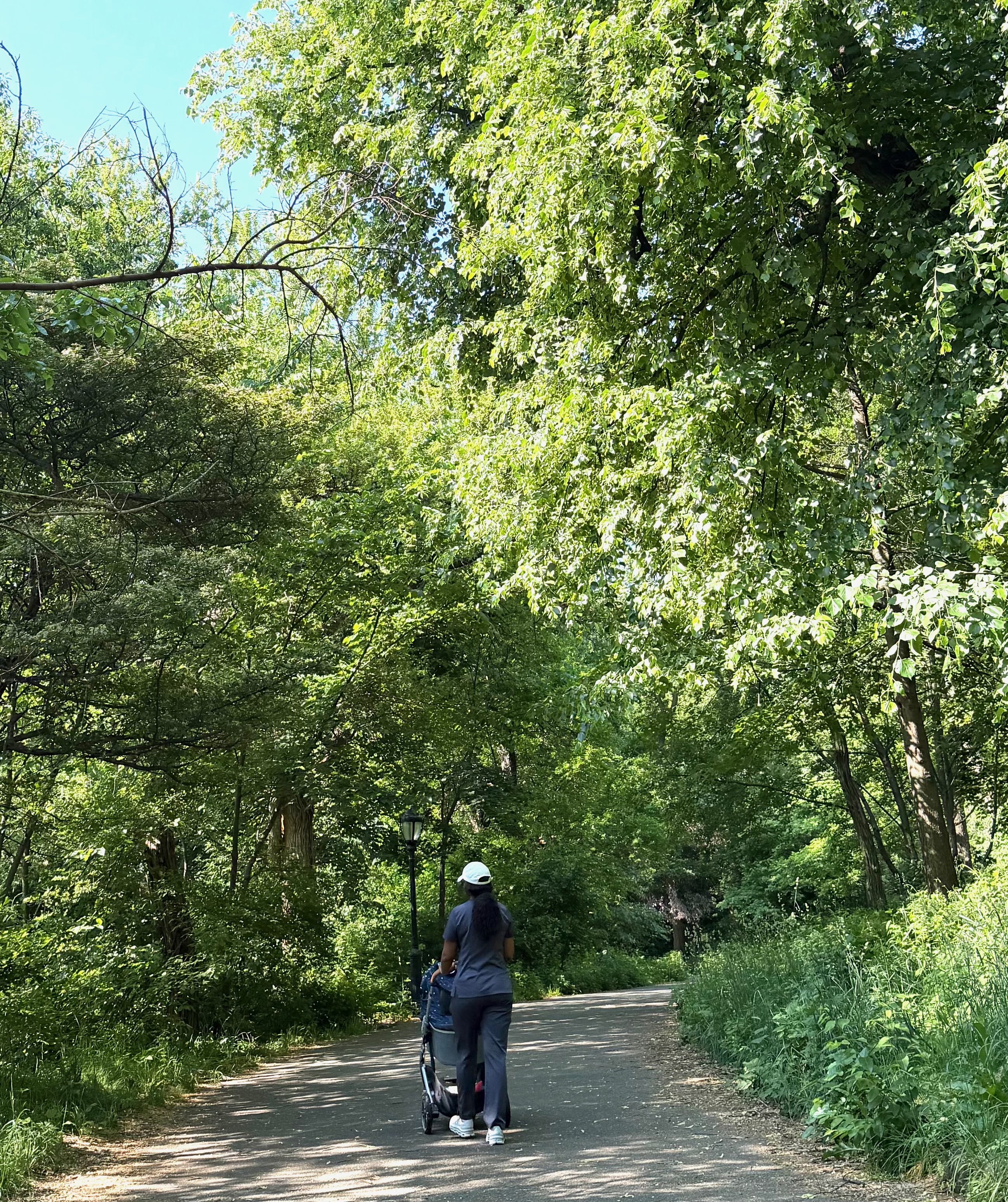 Peterlyn strolling through the park with a newborn
